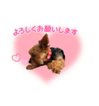 外山家の愉快な仲間たち Ⅴ（個別スタンプ：9）