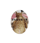黒猫あずきとトラ猫ちび太（個別スタンプ：14）