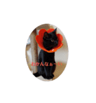 黒猫あずきとトラ猫ちび太（個別スタンプ：15）