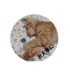 黒猫あずきとトラ猫ちび太（個別スタンプ：21）