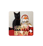黒猫あずきとトラ猫ちび太（個別スタンプ：26）