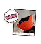 黒猫あずきとトラ猫ちび太（個別スタンプ：31）