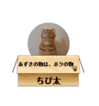 黒猫あずきとトラ猫ちび太（個別スタンプ：34）