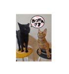 黒猫あずきとトラ猫ちび太（個別スタンプ：38）