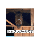 トムプレジールのスタンプ（個別スタンプ：1）