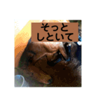 トムプレジールのスタンプ（個別スタンプ：7）
