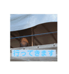 トムプレジールのスタンプ（個別スタンプ：13）