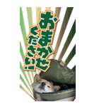 函館の女！コウ（個別スタンプ：16）