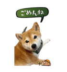 函館の女！コウ（個別スタンプ：24）