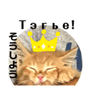 毎日やる気の子猫挨拶 日本語 モンゴル語（個別スタンプ：4）