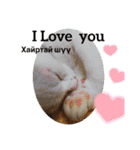 毎日やる気の子猫挨拶 日本語 モンゴル語（個別スタンプ：5）