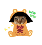 毎日やる気の子猫挨拶 日本語 モンゴル語（個別スタンプ：7）