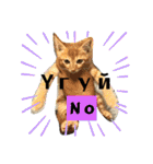 毎日やる気の子猫挨拶 日本語 モンゴル語（個別スタンプ：13）