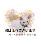 毎日やる気の子猫挨拶 日本語 モンゴル語（個別スタンプ：32）