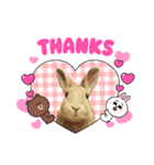 うさちゃんとLINEキャラクターたち♪（個別スタンプ：5）