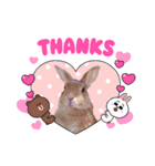 うさちゃんとLINEキャラクターたち♪（個別スタンプ：7）