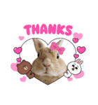 うさちゃんとLINEキャラクターたち♪（個別スタンプ：8）