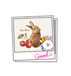 うさちゃんとLINEキャラクターたち♪（個別スタンプ：9）