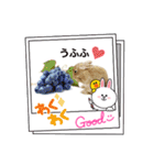 うさちゃんとLINEキャラクターたち♪（個別スタンプ：10）