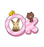 うさちゃんとLINEキャラクターたち♪（個別スタンプ：14）