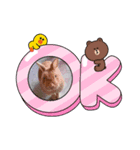 うさちゃんとLINEキャラクターたち♪（個別スタンプ：15）