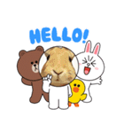 うさちゃんとLINEキャラクターたち♪（個別スタンプ：17）