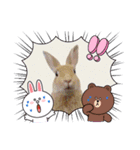 うさちゃんとLINEキャラクターたち♪（個別スタンプ：21）