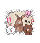 うさちゃんとLINEキャラクターたち♪（個別スタンプ：22）