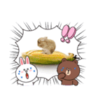うさちゃんとLINEキャラクターたち♪（個別スタンプ：23）