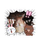 うさちゃんとLINEキャラクターたち♪（個別スタンプ：24）