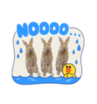 うさちゃんとLINEキャラクターたち♪（個別スタンプ：26）