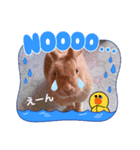 うさちゃんとLINEキャラクターたち♪（個別スタンプ：27）