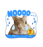 うさちゃんとLINEキャラクターたち♪（個別スタンプ：28）