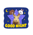 うさちゃんとLINEキャラクターたち♪（個別スタンプ：32）