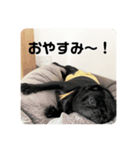 パグ美スタンプ（個別スタンプ：4）