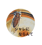 セミのつぶやきスタンプ（個別スタンプ：3）