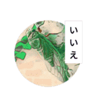セミのつぶやきスタンプ（個別スタンプ：24）