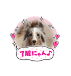 アムテラ 2（個別スタンプ：4）