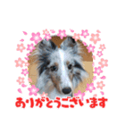 アムテラ 2（個別スタンプ：5）