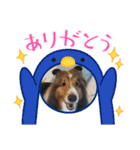 アムテラ 2（個別スタンプ：6）