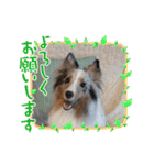 アムテラ 2（個別スタンプ：8）