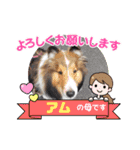 アムテラ 2（個別スタンプ：9）