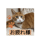 きーちゃん第2段（個別スタンプ：4）