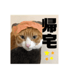 きーちゃん第2段（個別スタンプ：5）