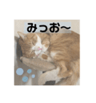 きーちゃん第2段（個別スタンプ：18）