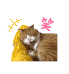 きーちゃん第2段（個別スタンプ：23）