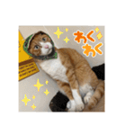 きーちゃん第2段（個別スタンプ：24）