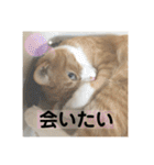 きーちゃん第2段（個別スタンプ：27）