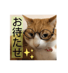 きーちゃん第2段（個別スタンプ：29）