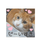 きーちゃん第2段（個別スタンプ：30）